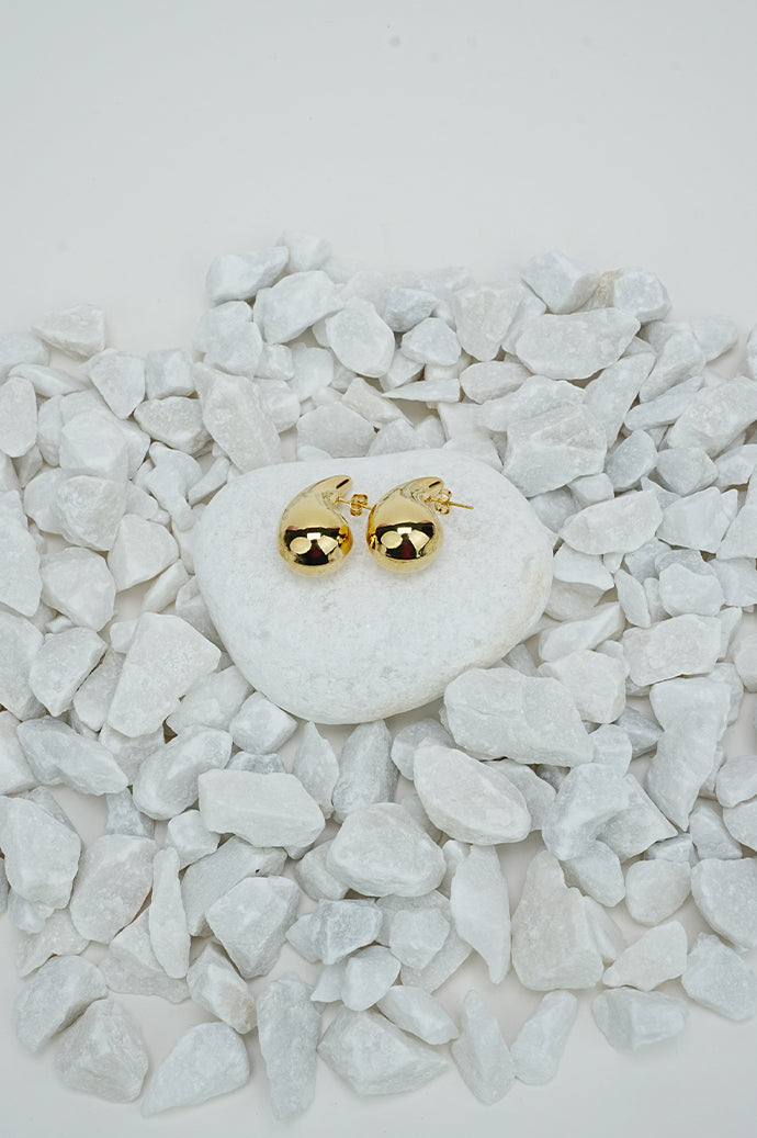 Dior Gold Style Earrings