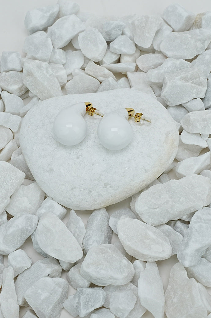 Dior Colour Style Earrings