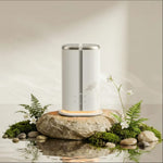 Dual scent aroma diffuser on a stone with ferns and white flowers